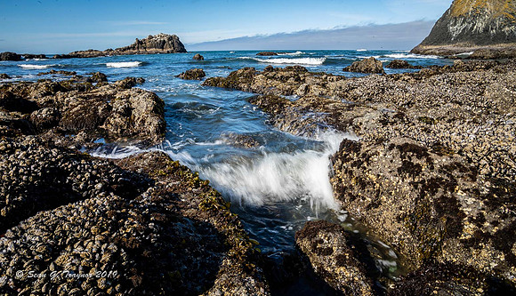 Yaquina Head, Oregon