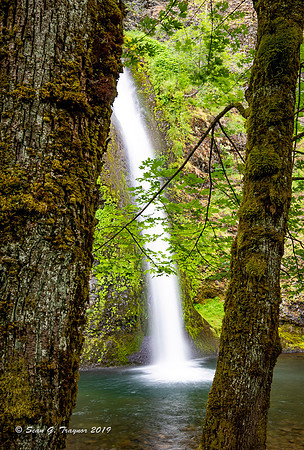 Horsetail Falls