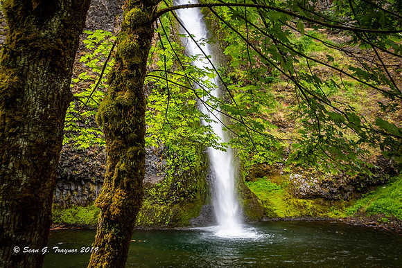 Horsetail Falls