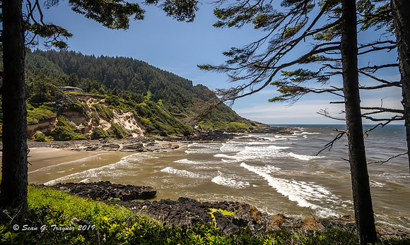 Oregon Seashore