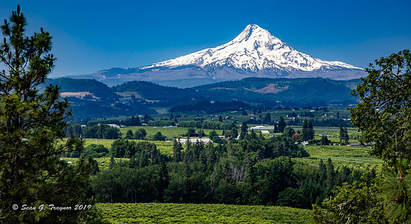 Mt Hood