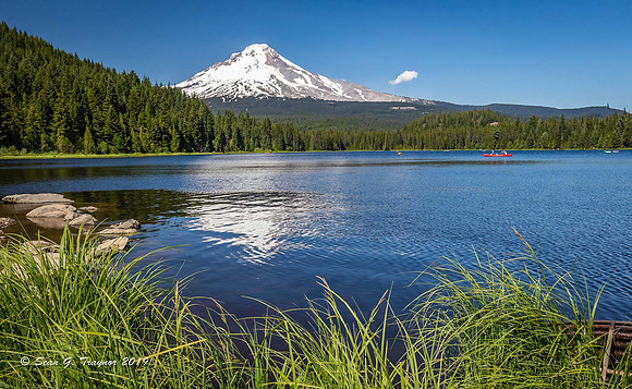 Mt Hood