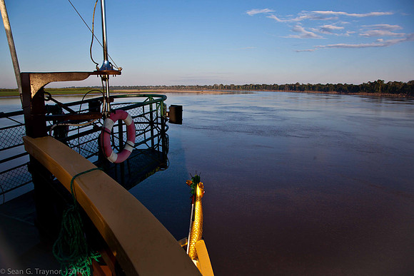 2010-08 Amazon-2