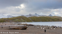 South Georgia