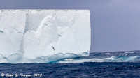 South Georgia