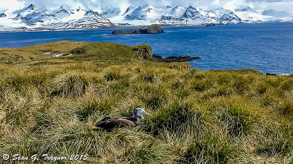 South Georgia
