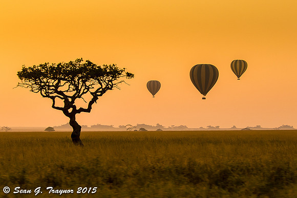 Serengeti Sunrise-Sunsets