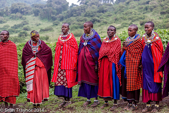 Tanzania-2014  Wildlife-166