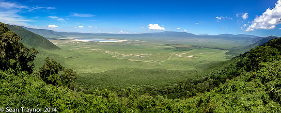 Tanzania-2014  Wildlife-121