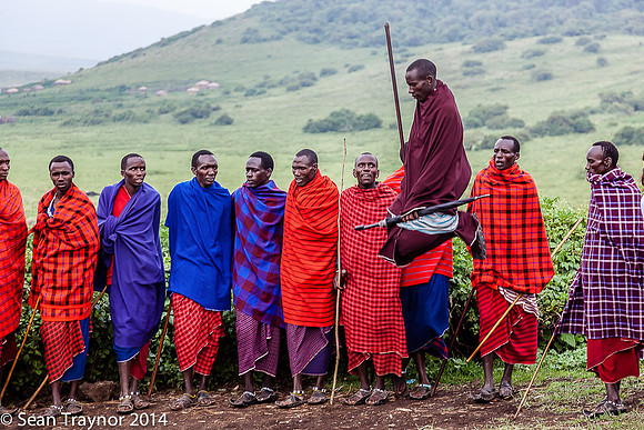Tanzania-2014  Wildlife-167