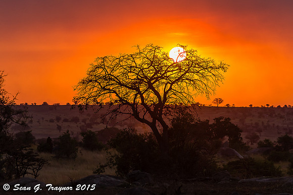 Serengeti Sunrise-Sunsets