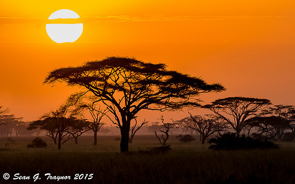 Serengeti Sunrise-Sunsets