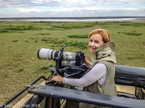 Serengeti Safari