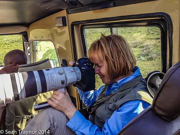 Serengeti Safari