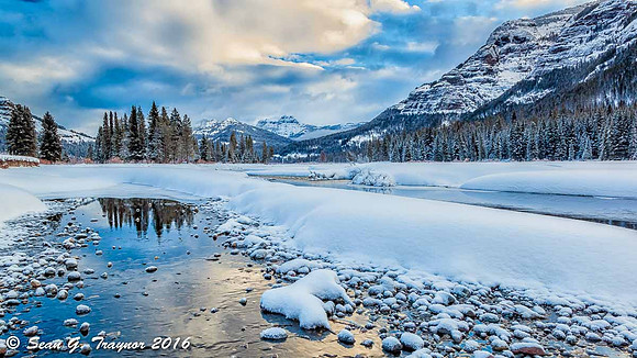 Lamar Valley Sunrise