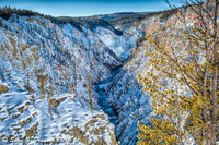 Yellowstone-Grand Canyon
