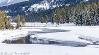 Yellowstone-Lamar Valley