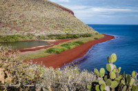 Galapagos Islands