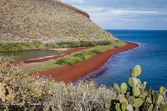 Galapagos Islands