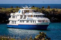 Galapagos Islands