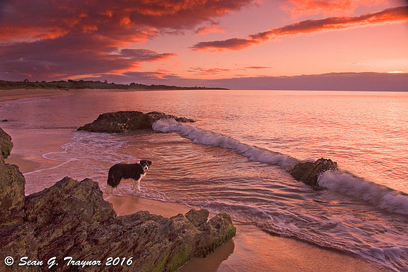 Ireland