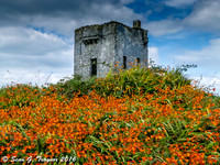 Ireland