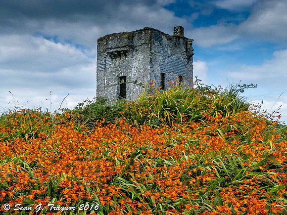Ireland