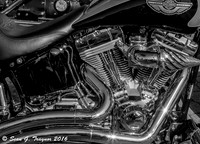 Daytona Bike Week