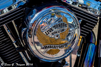 Daytona Bike Week