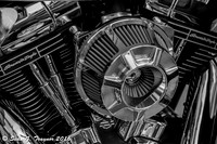 Daytona Bike Week