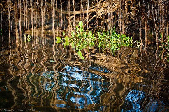 River Reflections