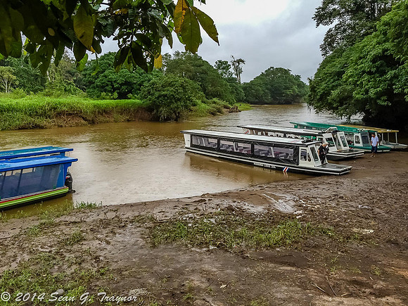 Tortuguera Taxi