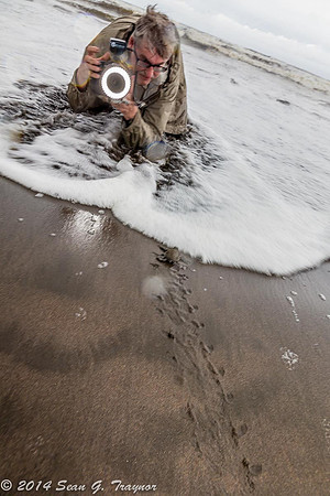 Todd -Watch out for the Wave !