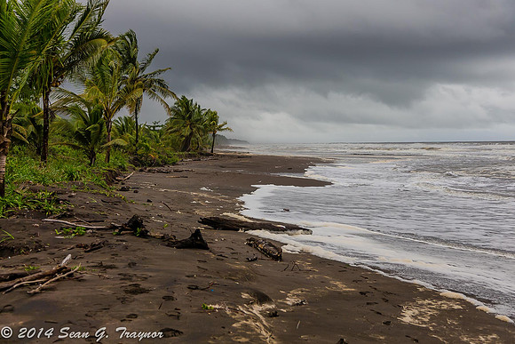 Tortuguera - Green Turtle Beach