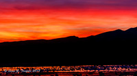 Bosque del Apache  NWR