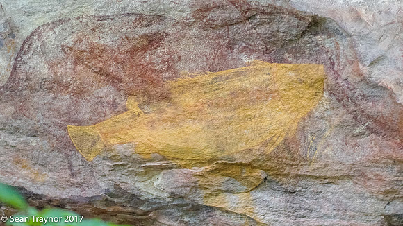 Aboriginal Art - Kakadu Area, NT