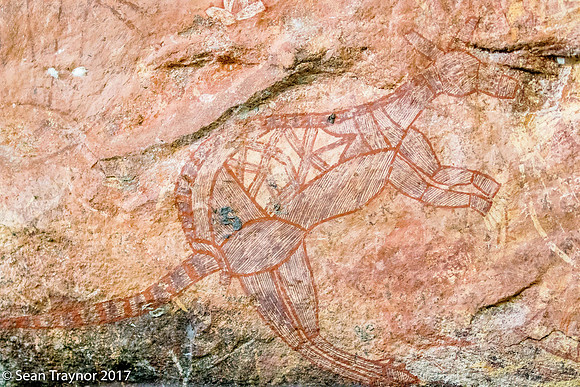 Aboriginal Art - Kakadu Area, NT