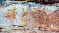 Aboriginal Art - Kakadu Area, NT