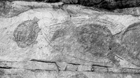 Aboriginal Art - Kakadu Area, NT