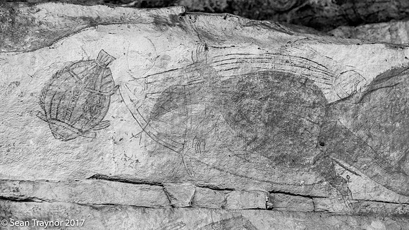 Aboriginal Art - Kakadu Area, NT