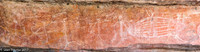 Aboriginal Art - Kakadu Area, NT