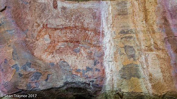 Aboriginal Art - Tasmanian Tiger