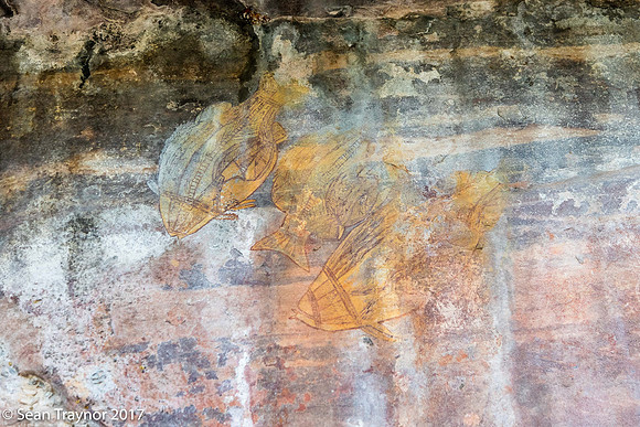 Aboriginal Art - Kakadu Area, NT