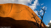 Ayer's Rock - Uluru Area