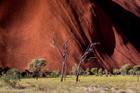 Ayer's Rock - Uluru Area