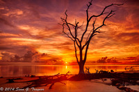 Sunrise-Sunsets