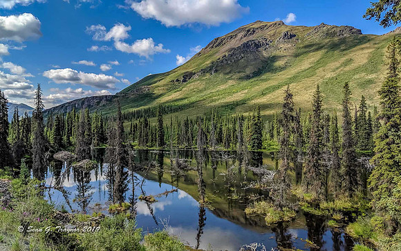 Yukon Wilderness