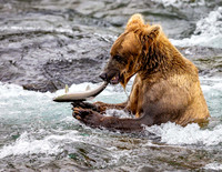 Alaska