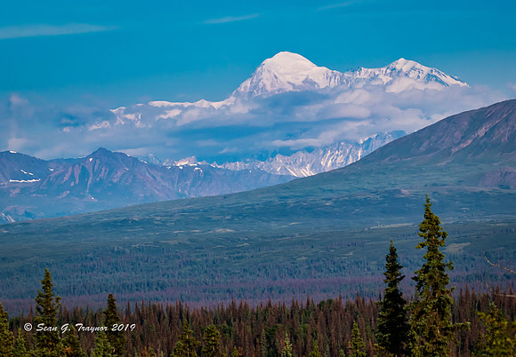 Denali - The Great One
