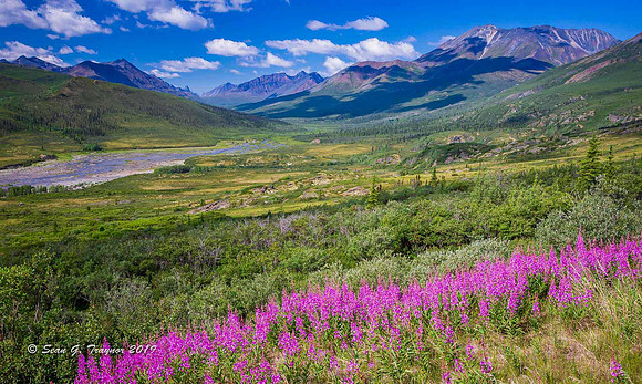 Yukon Wilderness